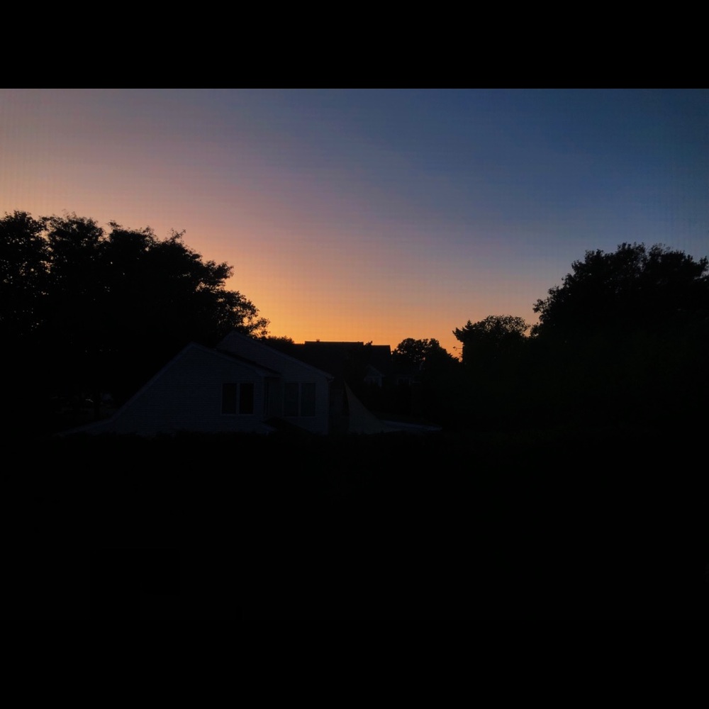 Meet your Posher, Cat